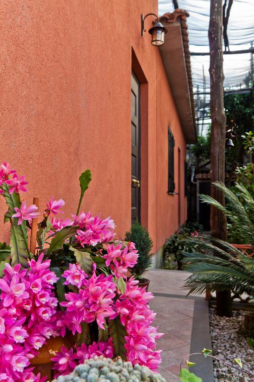 La Maison De Titty & Margherita Piano di Sorrento Exteriér fotografie