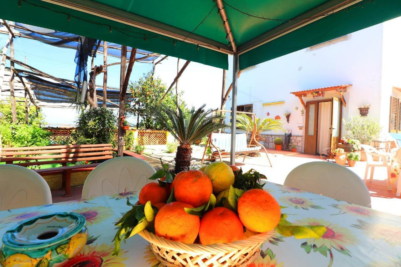 La Maison De Titty & Margherita Piano di Sorrento Exteriér fotografie